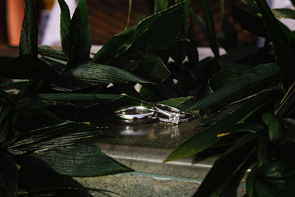 Wedding Photos (441)