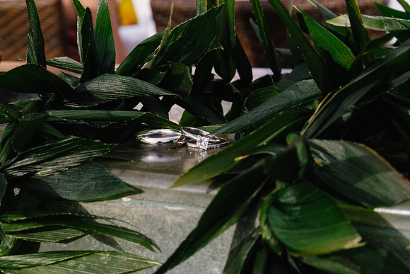 Wedding Photos (439)