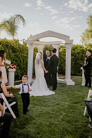 Wedding Day (301)