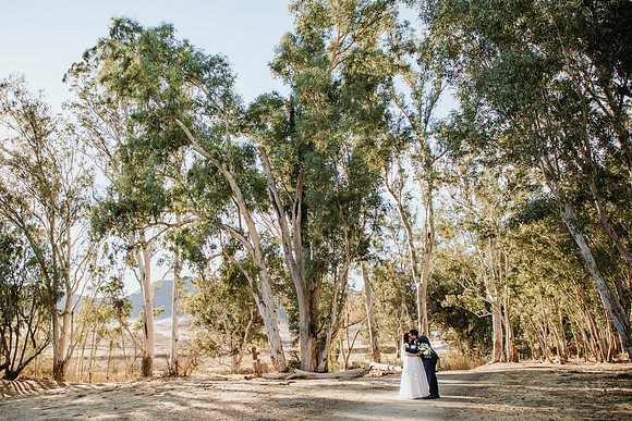 Wedding Day (399)