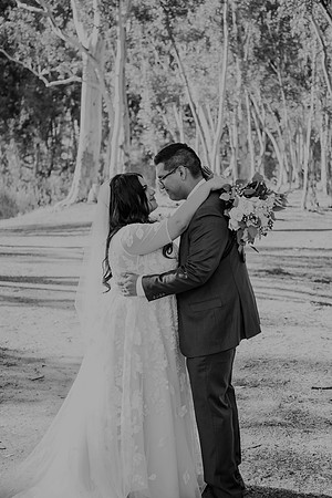 Wedding Day (315)