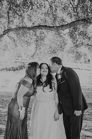 Wedding Day (75)