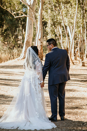 Wedding Day (277)