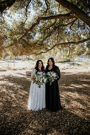 Wedding Day (168)