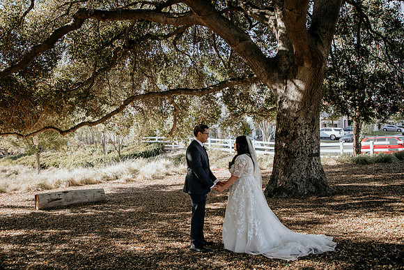 Wedding Day (59)