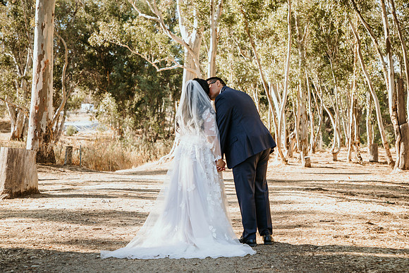 Wedding Day (275)