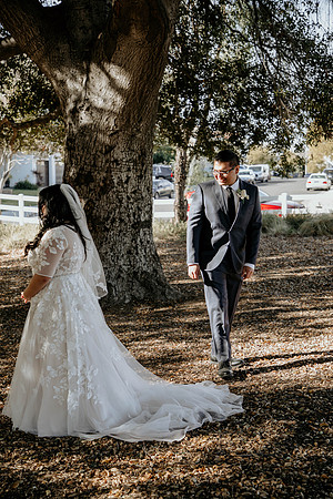 Wedding Day (53)