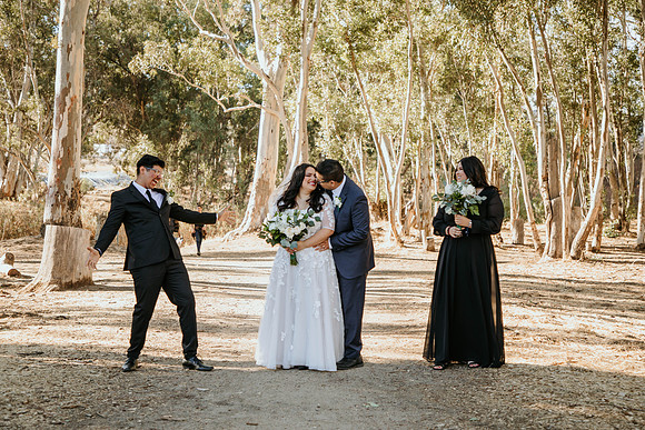 Wedding Day (334)