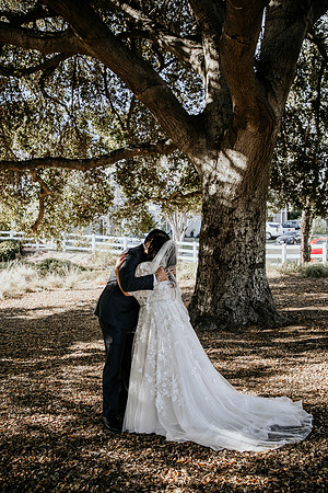 Wedding Day (23)