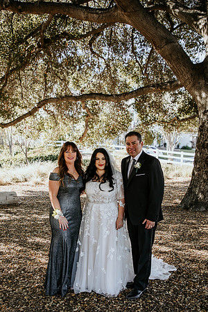 Wedding Day (67)