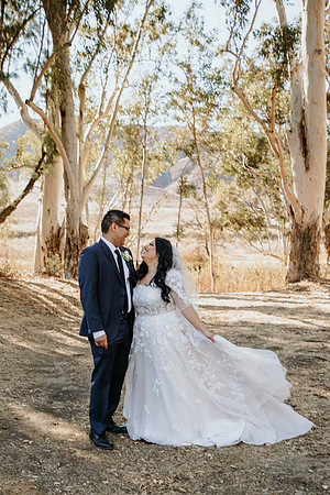 Wedding Day (228)