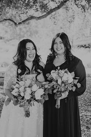 Wedding Day (171)