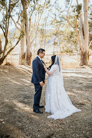 Wedding Day (234)