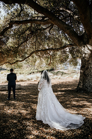 Wedding Day (12)