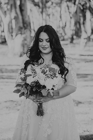 Wedding Day (353)