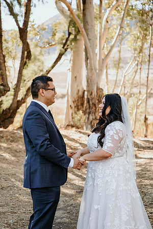 Wedding Day (251)