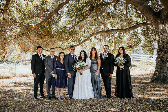 Wedding Day (138)
