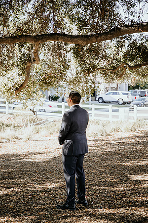Wedding Day (9)