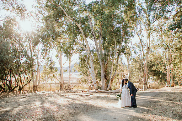 Wedding Day (396)