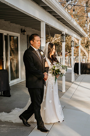 Wedding Day (455)
