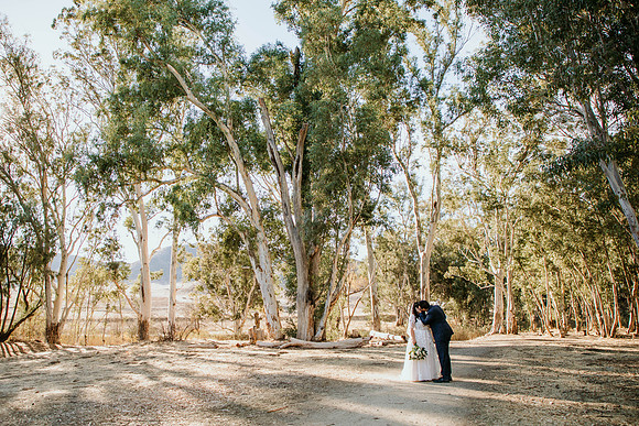 Wedding Day (397)