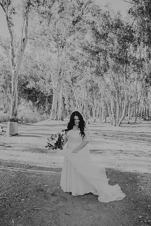 Wedding Day (344)