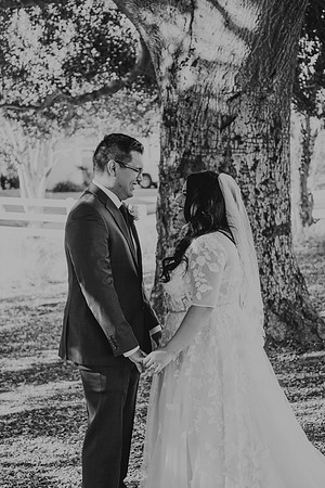 Wedding Day (46)