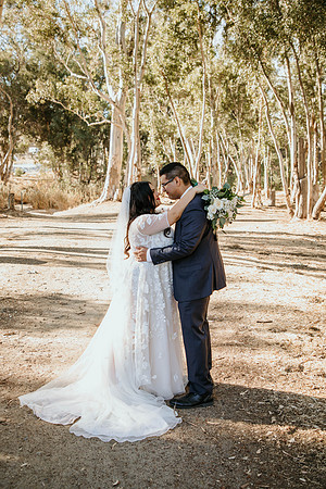 Wedding Day (317)