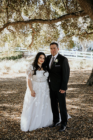 Wedding Day (91)