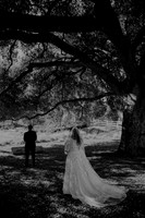 Wedding Day (11)