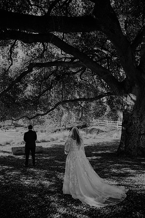Wedding Day (11)