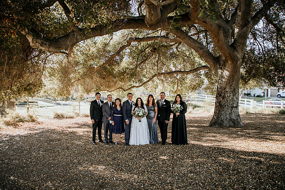Wedding Day (136)