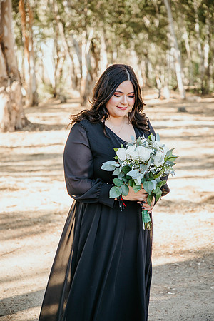 Wedding Day (387)