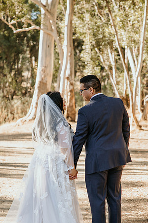Wedding Day (276)
