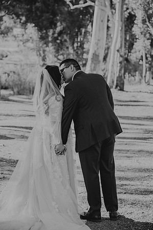 Wedding Day (279)