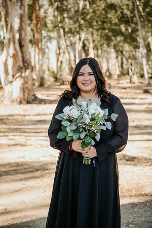 Wedding Day (384)