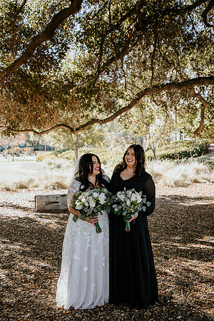 Wedding Day (175)