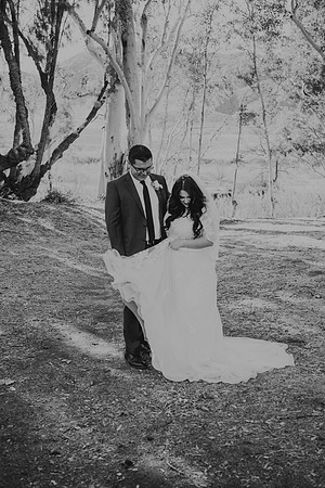 Wedding Day (219)