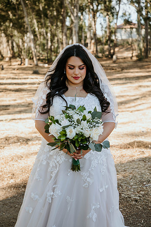 Wedding Day (358)