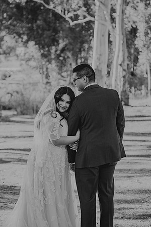 Wedding Day (287)