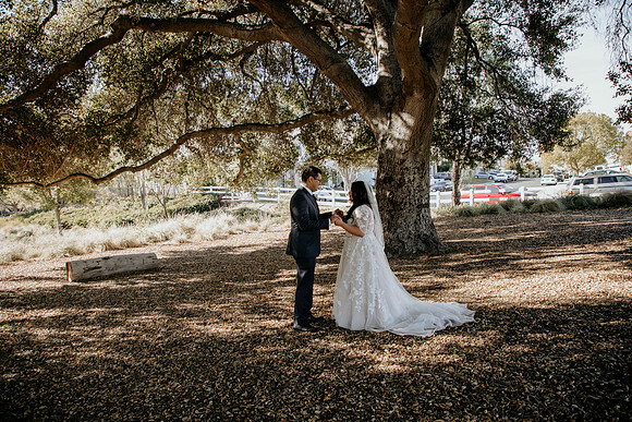 Wedding Day (60)
