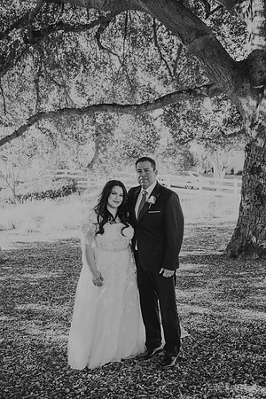 Wedding Day (92)