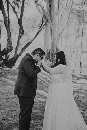 Wedding Day (253)