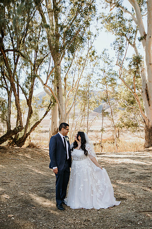 Wedding Day (226)