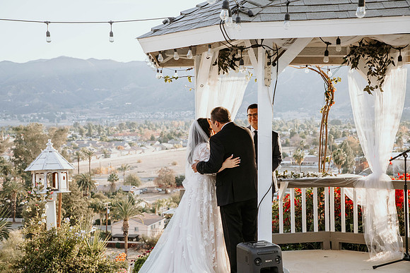 Wedding Day (463)