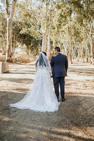 Wedding Day (268)
