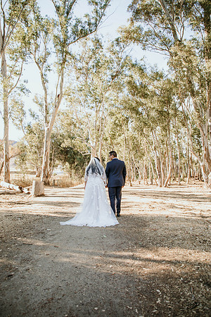 Wedding Day (269)