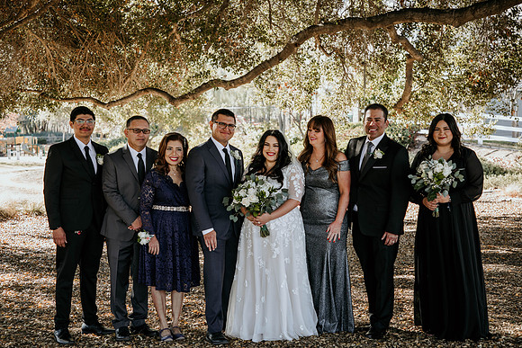 Wedding Day (143)