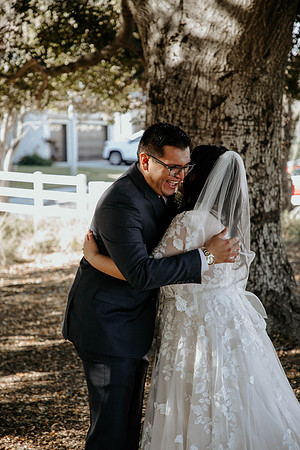 Wedding Day (36)