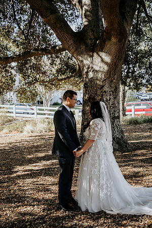 Wedding Day (47)